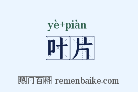 叶片是什么意思的图片